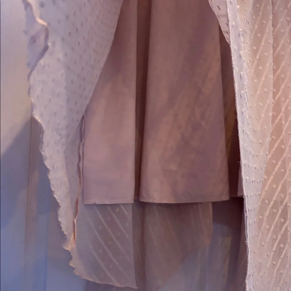 Pink Swiss Dot Midi Skirt - Picture 3 of 3